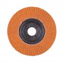 4932472233 - Flap disc CERA TURBO™ 125 x 22.2 mm, gr. 80