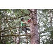 M18 FHS20-552 - Piła łańcuchowa do gałęzi dł. prowadnicy 20cm 18V, 5.5Ah, FUEL™ HATCHET™ w walizce z 2 akumulatorami i ładowarką