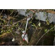 M18 BLTS-0 - Sekator teleskopowy do gałęzi 18 V, FUEL™, bez wyposażenia