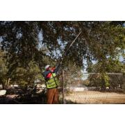 M18 BLTS-0 - Sekator teleskopowy do gałęzi 18 V, FUEL™, bez wyposażenia