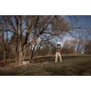 M18 BLTS-0 - Sekator teleskopowy do gałęzi 18 V, FUEL™, bez wyposażenia