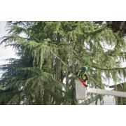 M18 FTPS30-121 - Podkrzesywarka z teleskopowym wysięgnikiem 30 cm, 18 V, 12.0 Ah, FUEL™, z akumulatorem i ładowarką