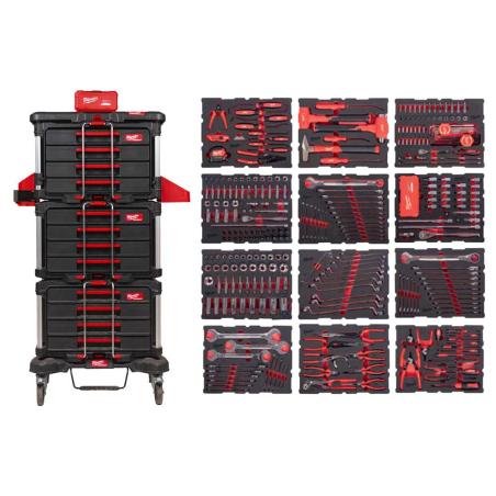 4932501863 - PACKOUT™ Tool set for master mechanics (382 pcs.)